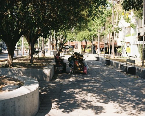 A quiet paved pathway curving through a green leafy public park in Guadalajara con soft afternoon light filters